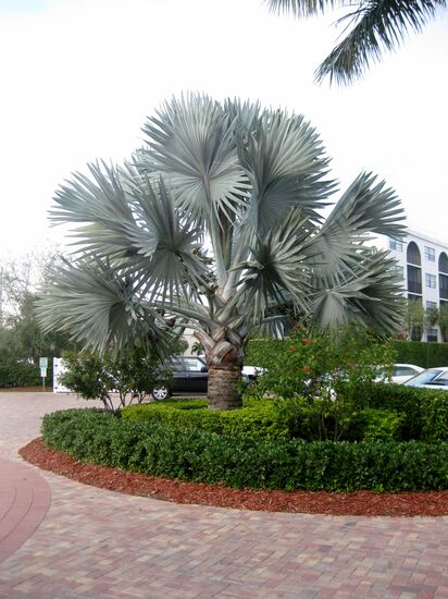 Grand Bay Condo Zufahrt
