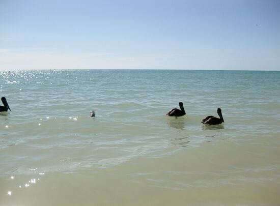Das Meer beim Resident's Beach