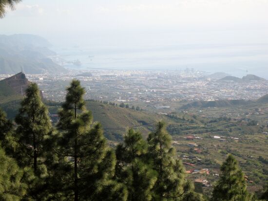 Blick auf das (schneefreie) Puerto de la Cruz auf der Fahrt zum Teide