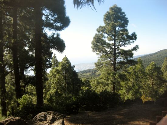 Ab hier ging es nicht mehr weiter mit dem Auto...