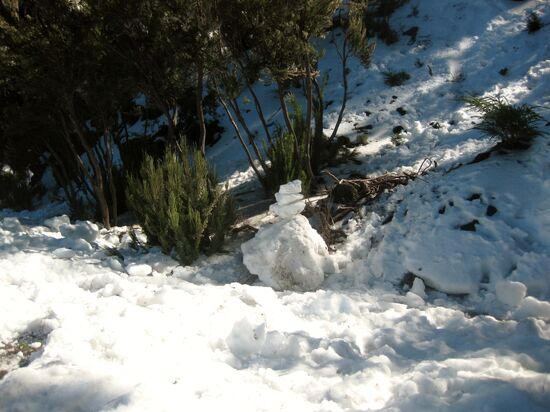 Reicht für eine Schneelballschlacht...
