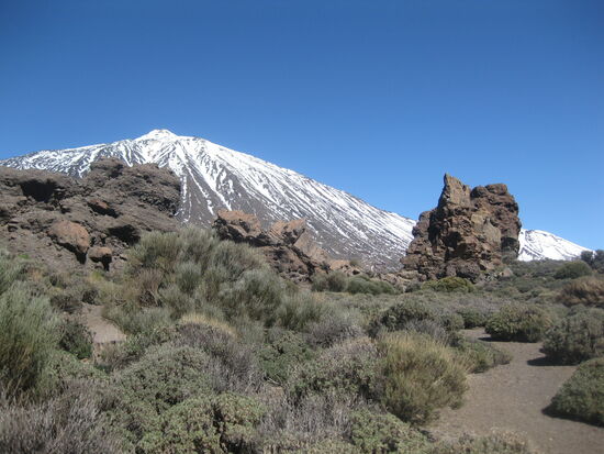 Typische Landschaft im Nationalpark