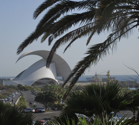 Palmen und das Auditorium
