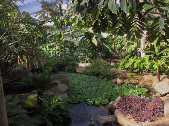 Hier wachsen nicht nur Palmen