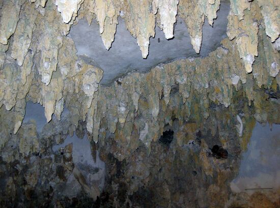 Decke der Vogelsanggrotte