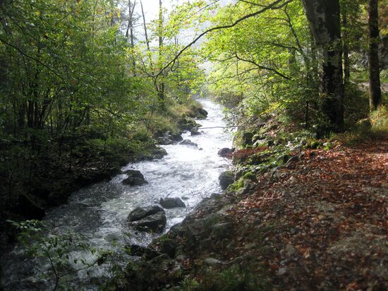 Zufluss zum Schwarzensee