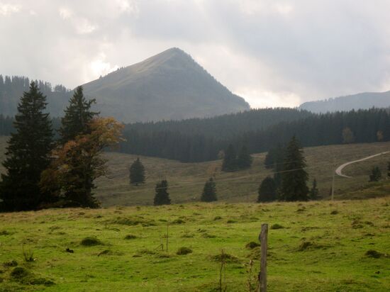 Quer über die Almen...