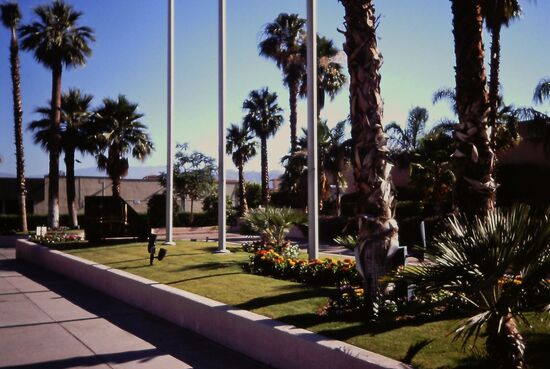 Palmen und blauer Hmmel prägen das Bild der Stadt