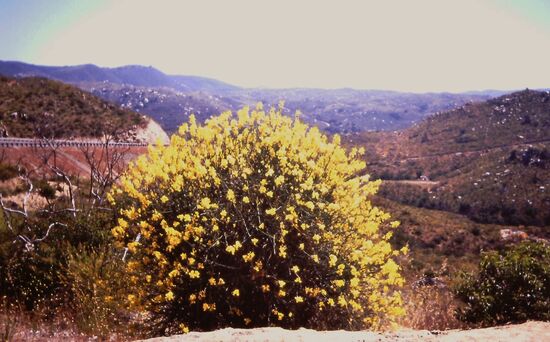 Von Palm Springs an die Küste