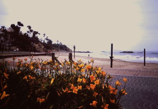 Einer der schönen Strände