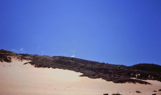 Breiter Strand am No. 1