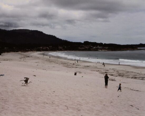 Carmel Beach