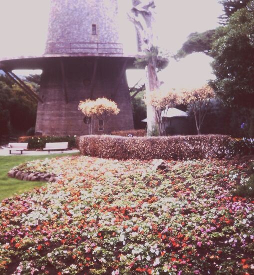 Windmühle Golden Gate Park