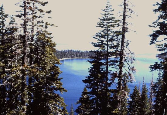 Durchblick auf den See