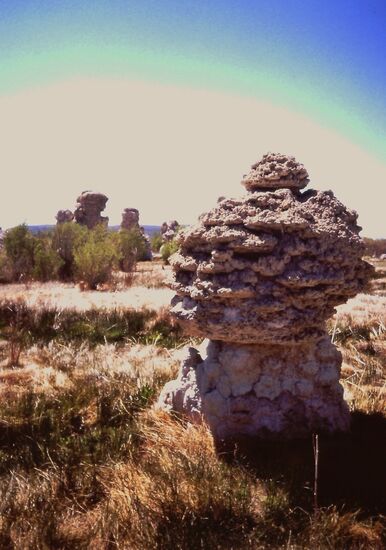 Am Mono Lake