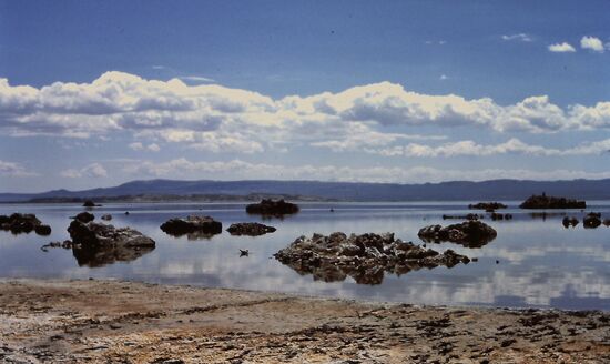 Mono Lake