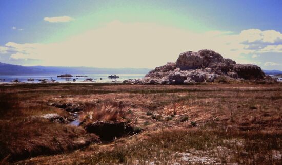 Mono Lake
