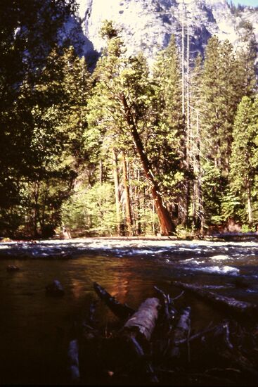 Am Merced River