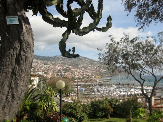 Blick vom Parque Santa Caterina auf Funchal