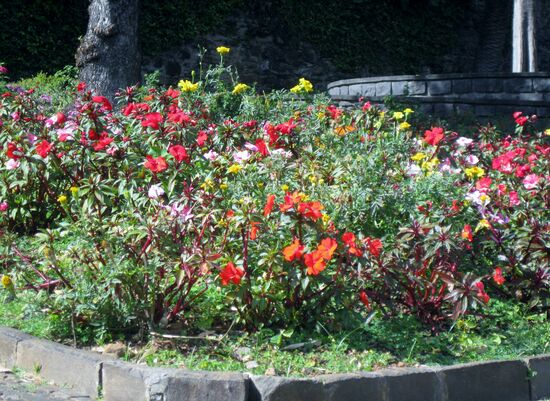 Auch im Winter blüht es überall