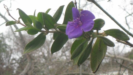 Ein Lichtblick bei dem trüben Wetter