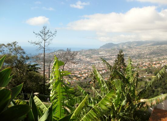 Blick auf das dicht besiedelte Gebiet von Funchal