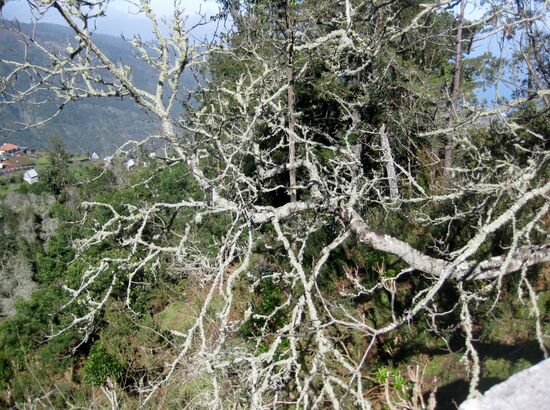 Blick vom Miradouro dos Balcoes