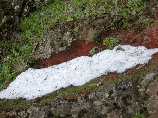 Ein bisschen Schnee