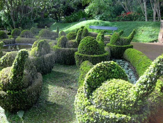 Kunstvolleer Buchsbaum