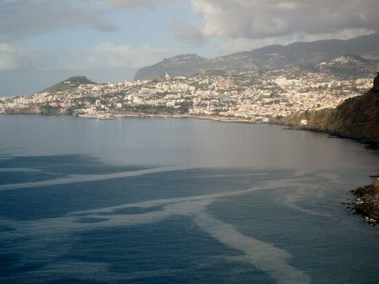 Blick auf Funchal