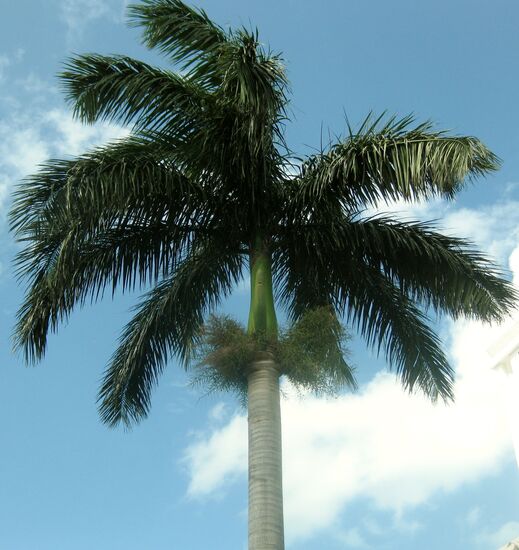 Schöner Anblick - besonders im Winter...