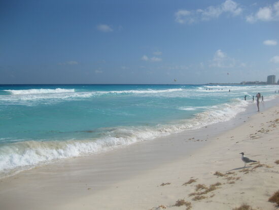Blauer-Flaggen Strand "Delfines"