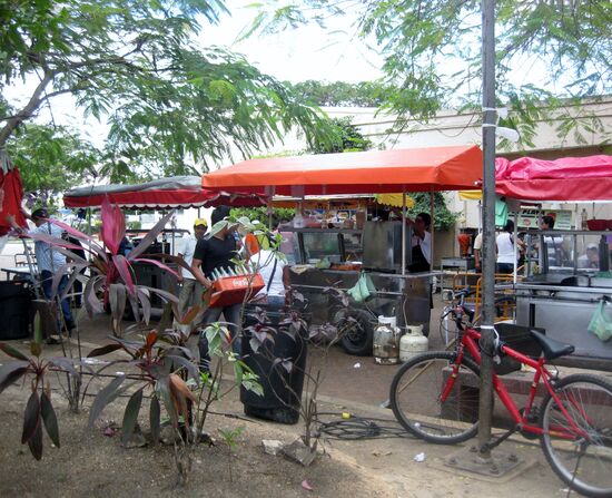 Das Playa del Carmen der Einheimischen