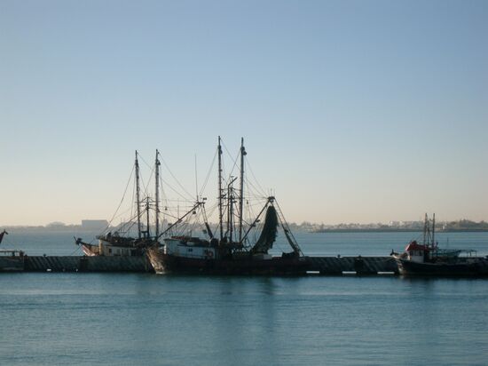 Morgens in Puerto Juarez