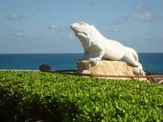 Am Punta del Sur wache ich