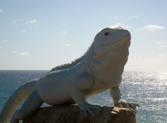 Ein besonders grosses Exemplar