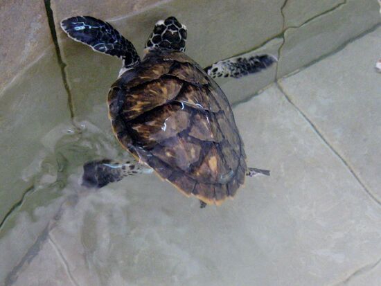 Sie würde am liebsten rauskrabbeln...