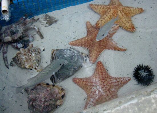 Anfassen war erlaubt