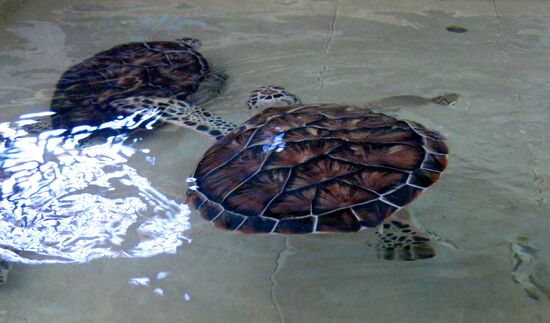 Wir müssen noch wachsen