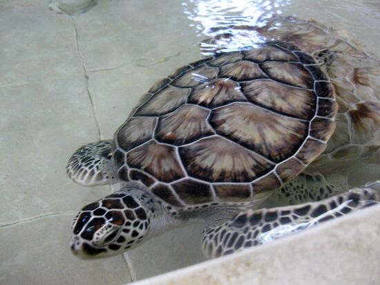 Bald geht es ins Meer