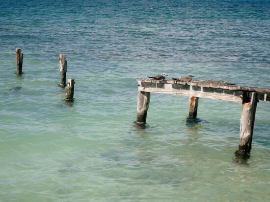 Bei der Schildrötenstaton