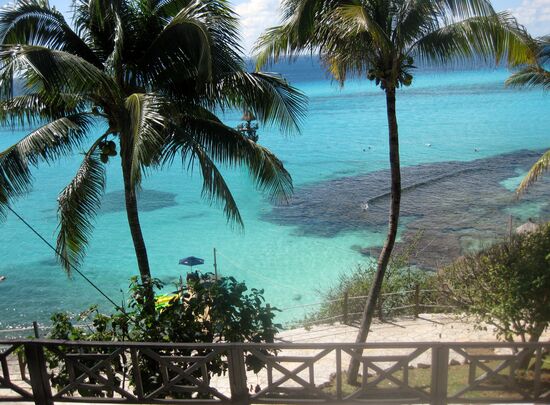 Am Korallenriff Garrafón