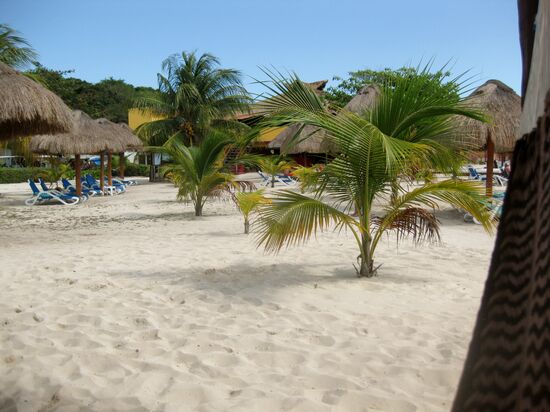 Der Blick aus der Hängematte