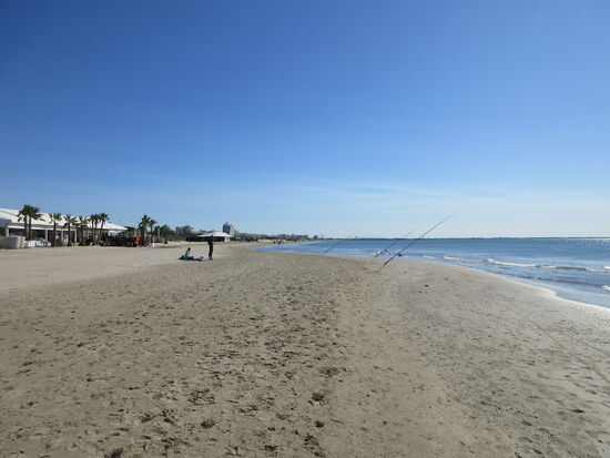 Ob sie etwas fangen?