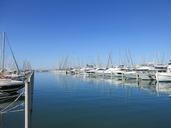 Der Yachthafen am Morgen