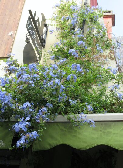 Blumenschmuck in den Gassen