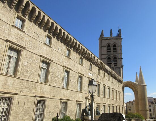 Kathedrale Saint-Pierre und medizinische Fakultät