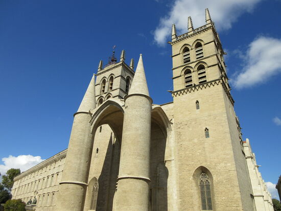 Cathédrale Saint-Pierre