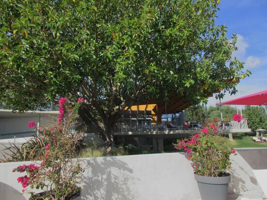 Das schön angelegte Hotelgelände