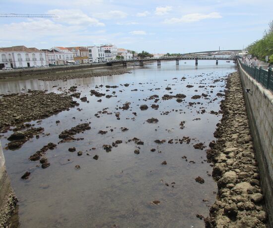 Richtung Meer: Der Flus Gilao bei Ebbe